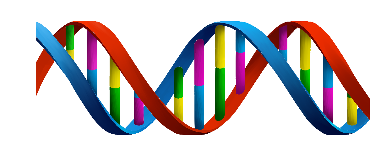 Gene Synthesis